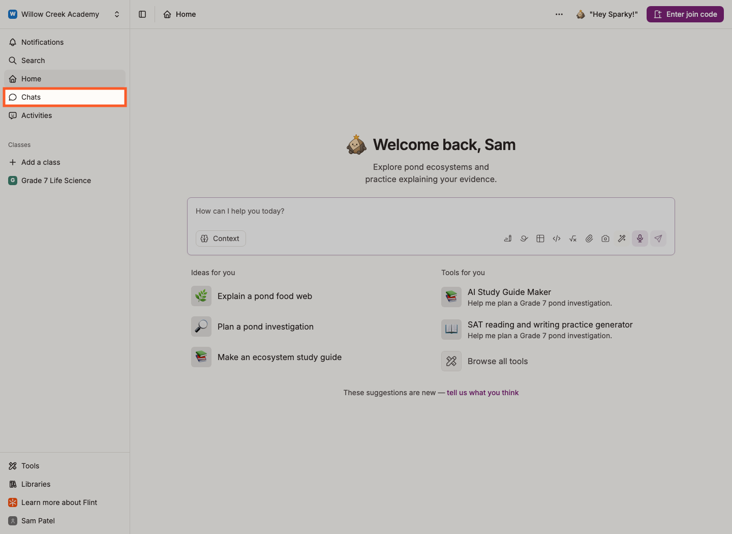Chats highlighted in the student sidebar
